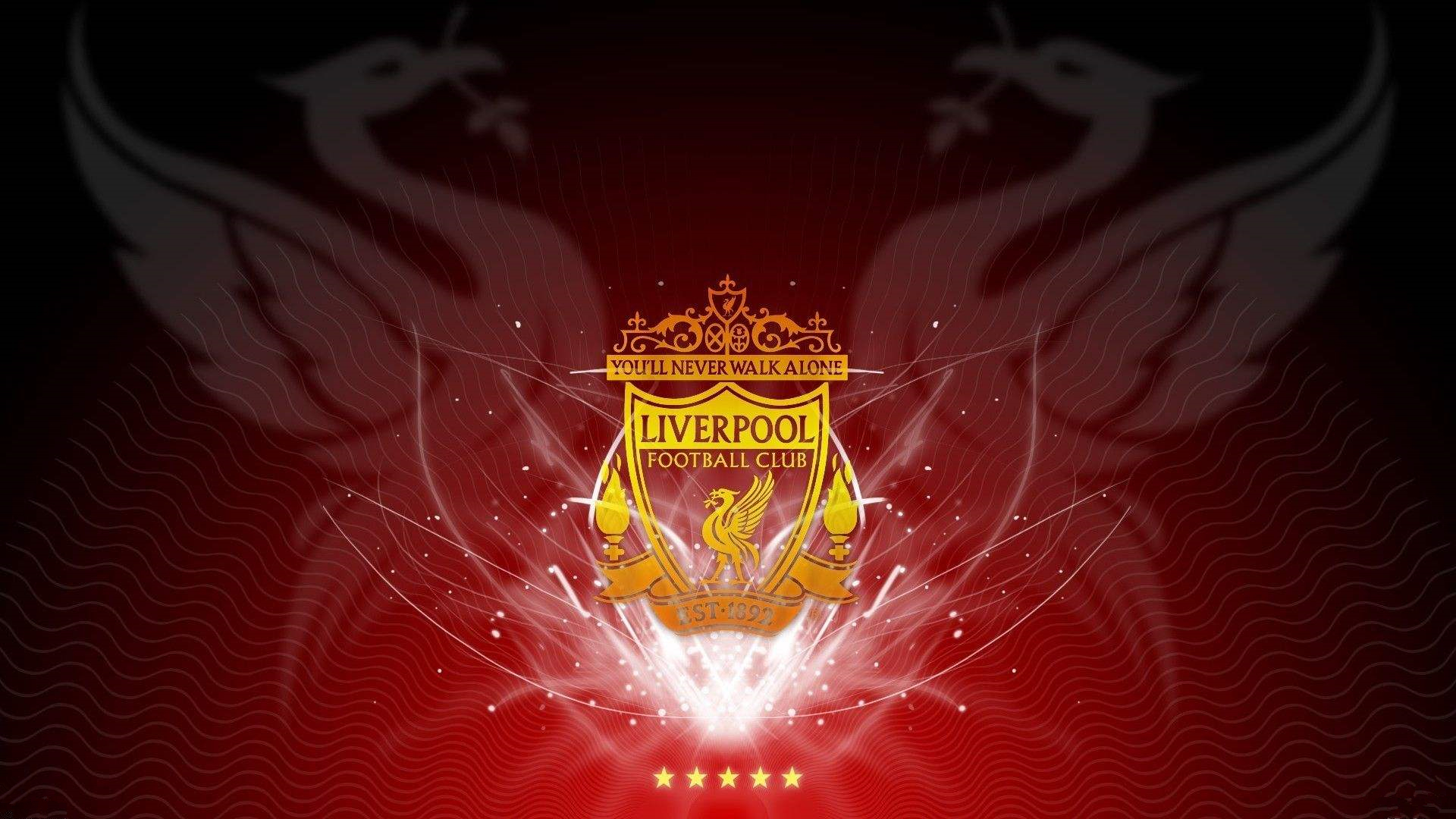 若你的牌容 若你的牌容